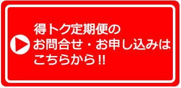 申込みフォームへ